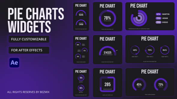 Pie Charts Widgets Infographics template preview