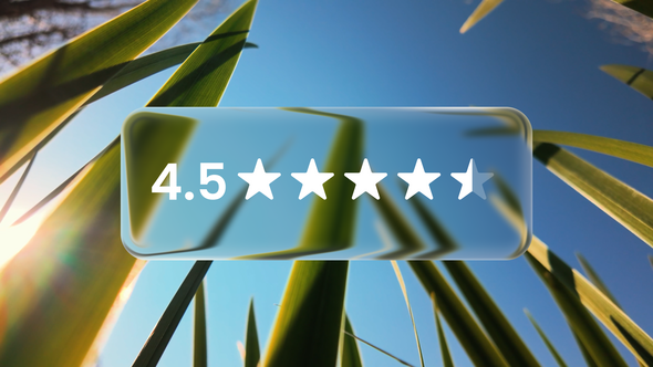 Liquid Glass Infographic Widgets Logo Stings template preview