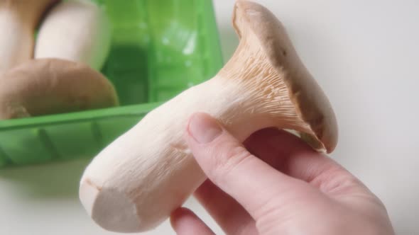 Fresh King Oyster Mushroom Also Known As King Trumpet or Eryngii Mushroom in the Hand of a Man