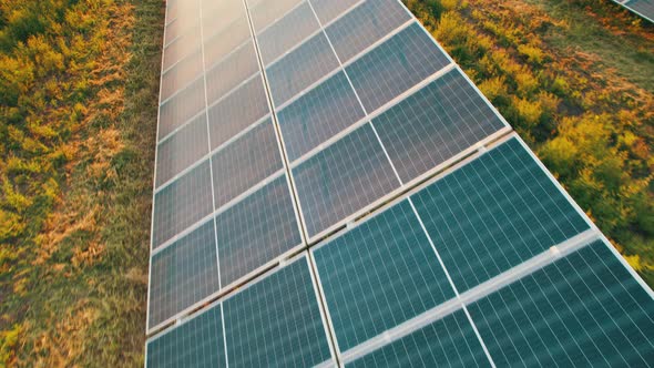 Aerial View of Solar Farm on the Green Field at Sunset Time Solar Panels in Row alt