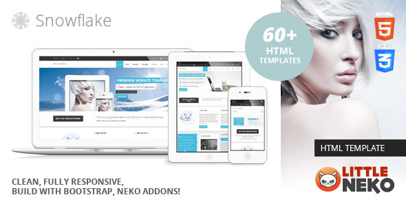 Snowflake | Responsive Bootstrap Website Template