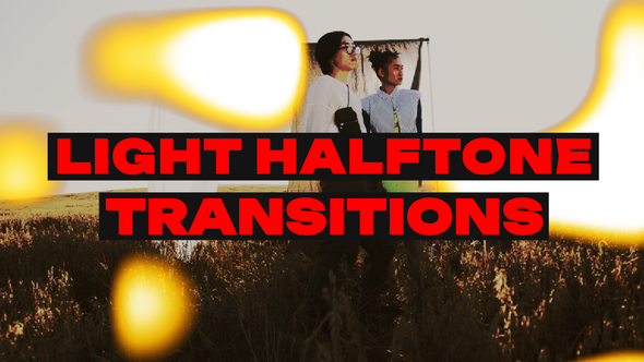 Light Halftone Transitions Elements template preview