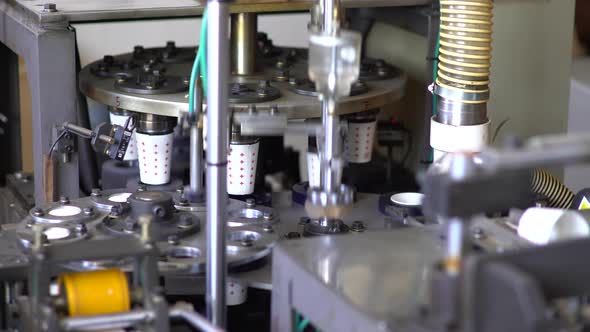 Manufacturing Process Of  Disposable Cup