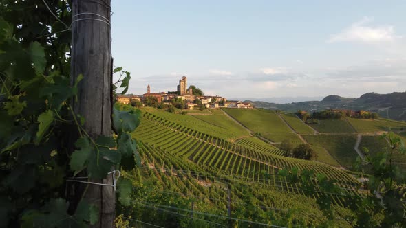 Serralunga D'alba and Vineyard in Langhe, Piedmont alt