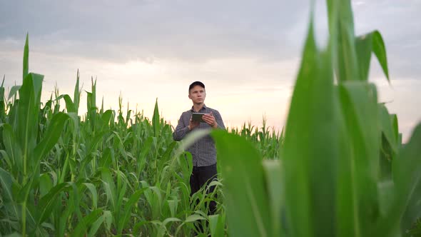Young Farmer Using a Tablet PC Front View on Modern Farmer alt