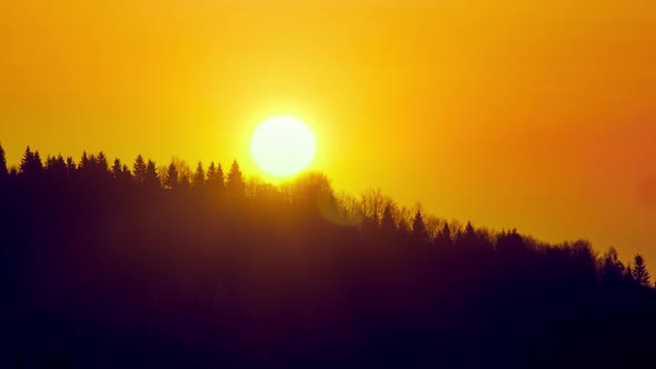 Big Sun Seting Sun to Silhouette Forest Minimalist Clean Shot