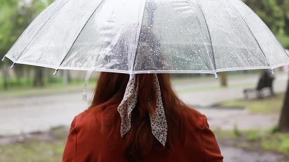 Transparent Drops of Rain on Umbrella Bad Weather Muddy Downpour