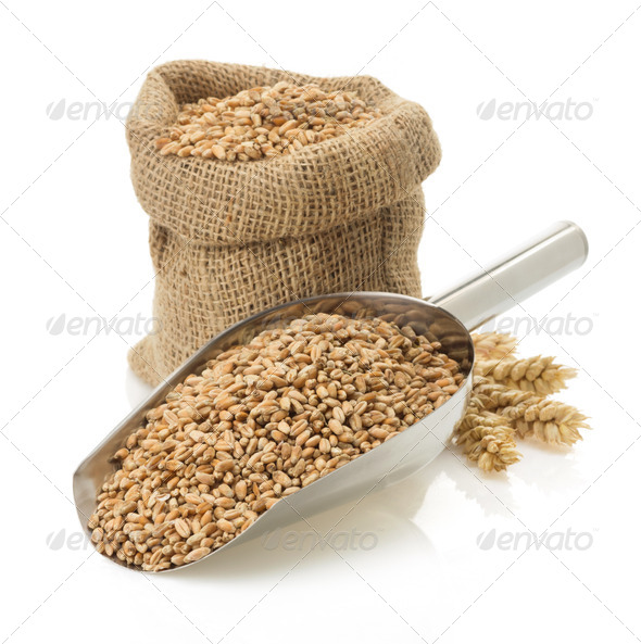 wheat grain on white - Stock Photo - Images