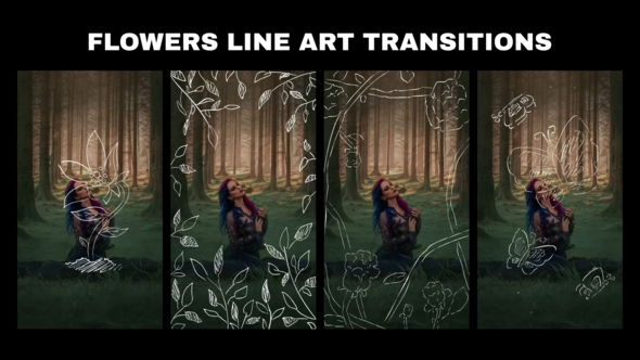 Flowers Line Art Transition for After Effects Elements template preview