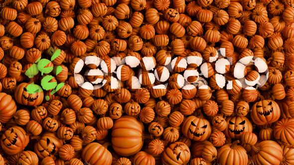 Halloween Pumpkins Logo Reveal broadcast-packages template preview