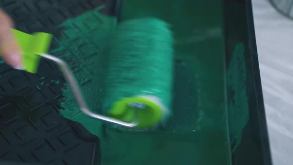Woman Puts Roller in Tray with Green Paint on Floor Closeup alt