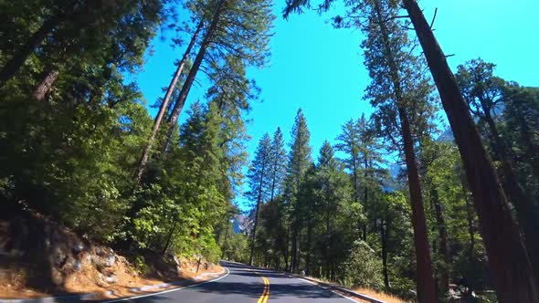 Driving shot of winding road at Yosemite National Park.