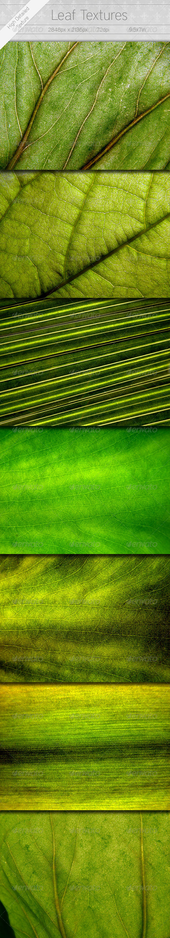 7 Leaf Textures - Nature Textures