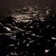 Black Liquid Landscape - VideoHive Item for Sale