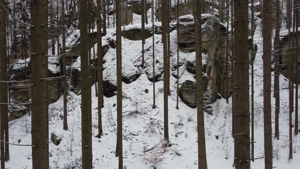 Drone shot of a winter forest in the Bohemian Paradise in the Czech Republic  alt