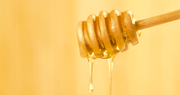 Liquid Organic Honey Dripping from a Honey Dipper on a Light Background alt