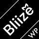 Bliize - Multipurpose Architecture WordPress Theme