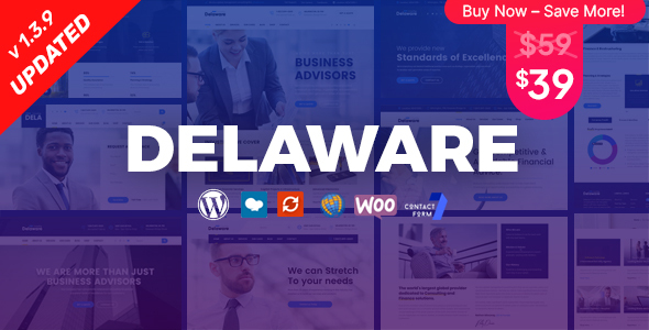 Delaware - Consulting and Finance WordPress Theme