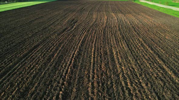 Drone Shot Aerial Fly Through Mixed Forest Between Trees in Sunny Spring Season Drone Shot Aerial alt