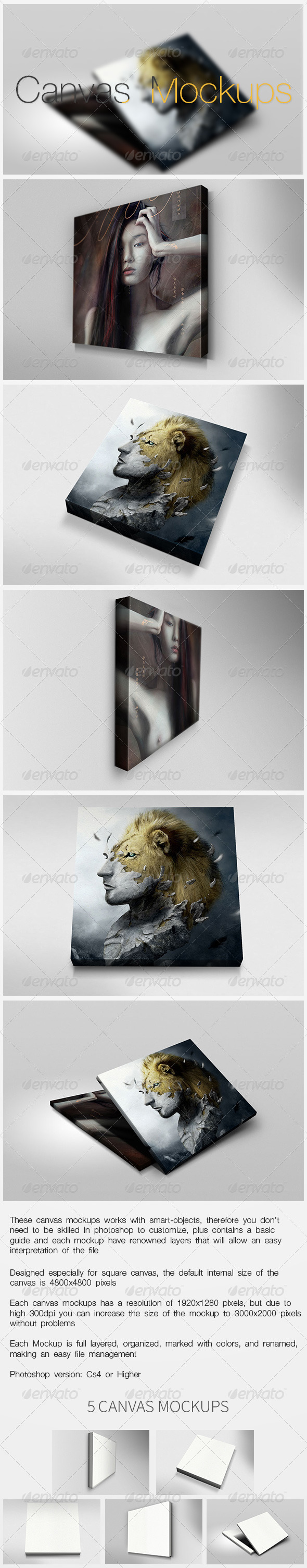 Canvas Mockups - Miscellaneous Displays