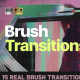Brush Stroke Transitions 