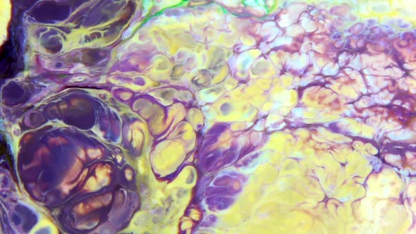 Color Explosion Abstract Vivid Art Painting Texture 359 alt