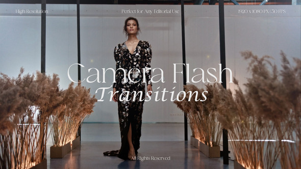 Camera Flash Transitions Elements template preview