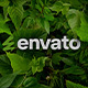 Leaves Logo Reveal - VideoHive Item for Sale