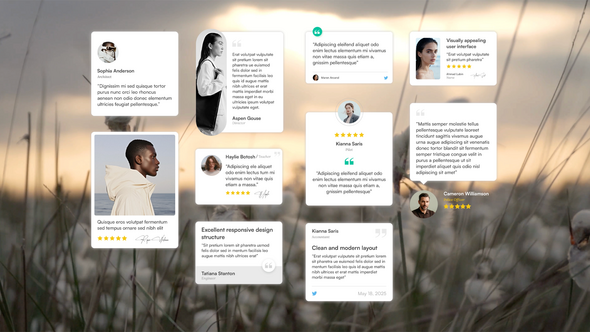 Testimonials, Reviews & Quotes - After Effects Template Elements template preview