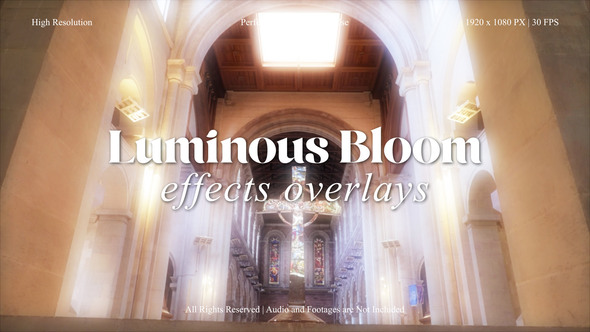 Luminous Bloom FX Overlays Pack for After Effects Elements template preview