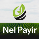 Nelpayir - Organic Farm & Agriculture Figma Template