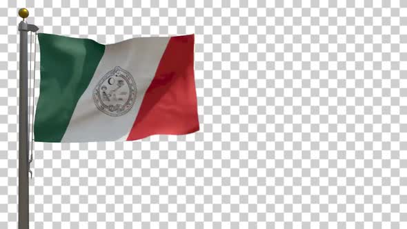 Solidaridad Flag (Mexico) on Flagpole with Alpha Channel - 4K alt