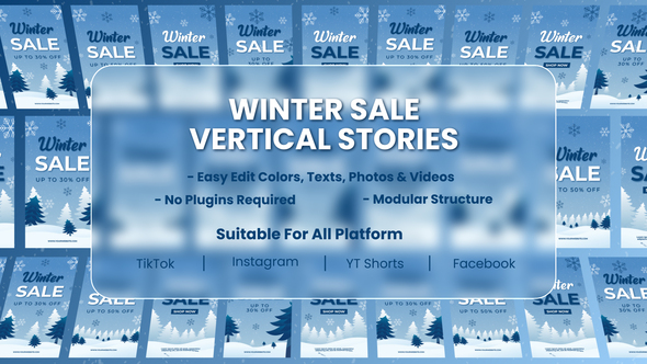 Winter Season Sale Social Media Stories Video Displays template preview