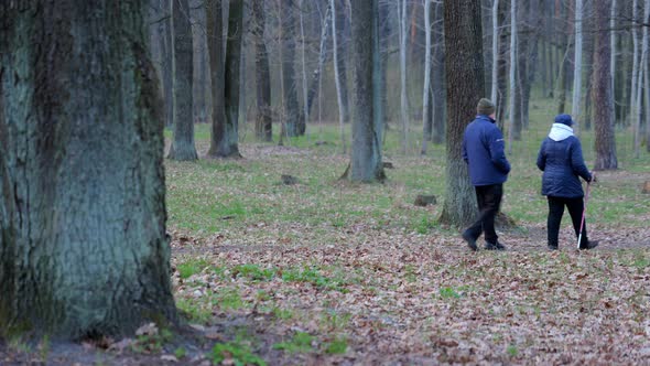 Senior Couple Doing Nordic Walking in a Forest