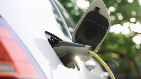 Electric Hybrid Car Charging Batteries With Electricity Through Power Cable on Parking Lot