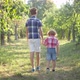 Back View Teenage Boy Walking with Little Brother in Sunny Park Holding Hands - VideoHive Item for Sale