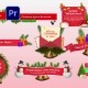 Christmas Lower Third - VideoHive Item for Sale