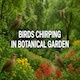Birds Chirping in Botanical Garden