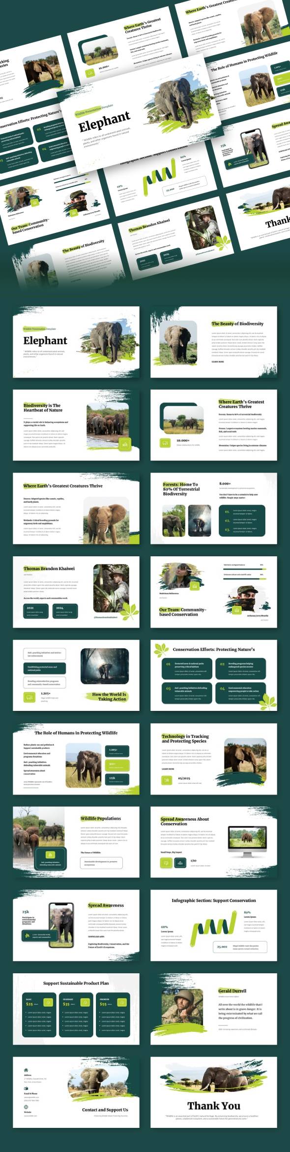Elephant - Wildlife Google Slides Template