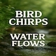 Bird Chirps Water Flows