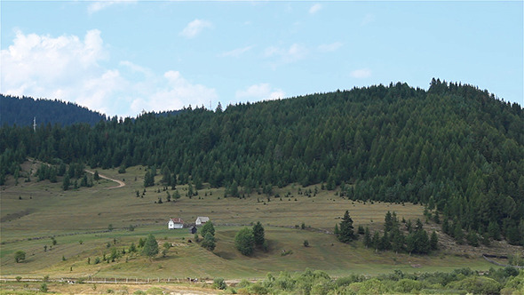 Forests on Hills Scenic Landscape alt