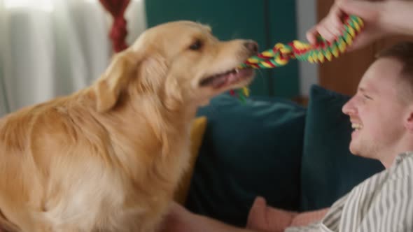 Positive Man Playing with His Golden Retriever Dog at Home Happy Student Live with His Pet Cozy Home alt