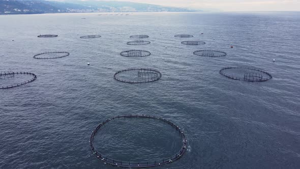 Aquaculture Fish Farm in Turkey Providing Farmed Fish Produce for Market alt