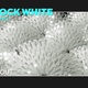 Peacock White - VideoHive Item for Sale