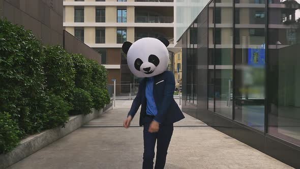 Businessman with panda head alt