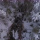Top down Aerial view of harvester logging a trees in the winter forest 38 - VideoHive Item for Sale
