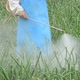 farmer spraying pesticide at onion field in thailand - VideoHive Item for Sale