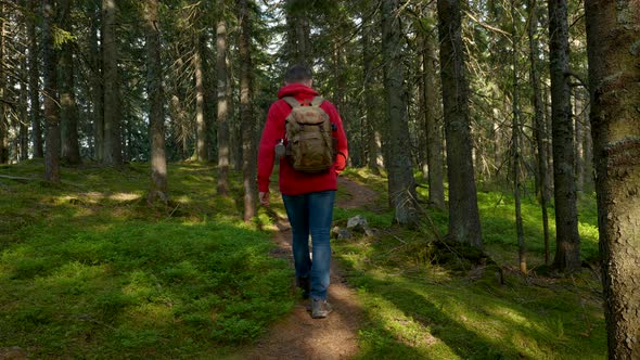 Tourist Guy with a Backpack Walks Along a Trail in a Beautiful Forest alt