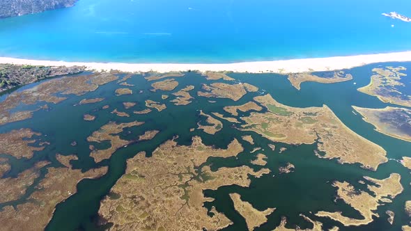 Aerial Swamp Wetland and Lake Next to Reed Delta by Sea alt