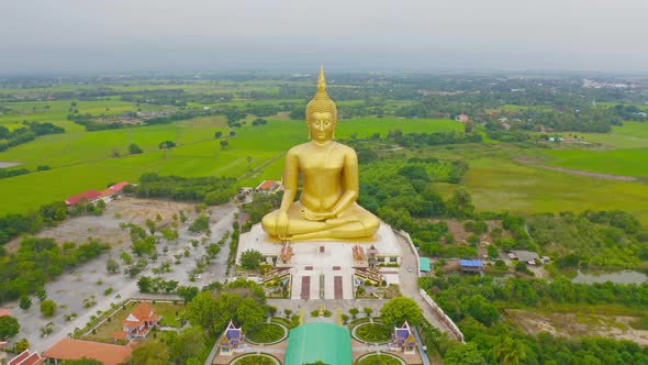 Aerial view of the Giant Golden Buddha in Wat Muang in Ang Thong district with paddy rice field alt